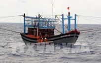 Thanh Hóa tìm kiếm tàu cá chở 10 thuyền viên mất liên lạc