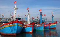 Thủ tướng chỉ thị ngăn chặn khai thác hải sản bất hợp pháp