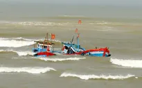 Tàu cá Bình Định bị tông chìm, 1 ngư dân mất tích trên biển