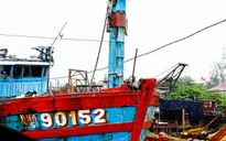 Trưng bày tàu cá Đà Nẵng bị đâm chìm ở vùng biển Hoàng Sa