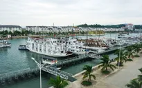 Quảng Ninh đình chỉ hoạt động 14 tàu du lịch vỏ gỗ
