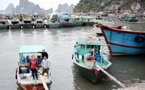 Xử lý tàu thuyền không đăng ký, đăng kiểm vì sao khó thực hiện?
