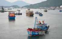 Áp thấp nhiệt đới di chuyển nhanh, còn gần 1000 tàu thuyền của Đà Nẵng, Quảng Ngãi trên biển