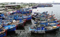 UBND TP.HCM gửi công văn khẩn về ứng phó với áp thấp nhiệt đới
