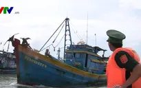 Hướng dẫn cách phòng tránh bão và bảo vệ tàu thuyền lồng bè hải sản