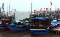Ninh Thuận triển khai phương án đưa tàu thuyền vào bờ tránh bão