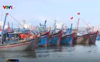 Bình Định: Hoàn thành sửa chữa "tàu cá 67" hư hỏng trước 15/1