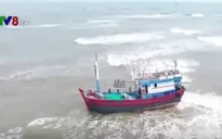 Quảng Trị cứu hộ thành công tàu cá mắc cạn