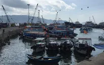 Khó nâng cấp đội tàu du lịch Vịnh Nha Trang