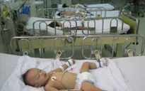 Cảnh báo bệnh tay chân miệng vào mùa