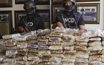 Tây Ban Nha và Ecuador tịch thu hơn 5 tấn cocaine