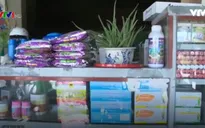 Nhiễu loạn thị trường phân bón, thuốc trừ sâu