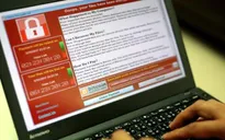 6 cơ quan tại TP.HCM bị mã độc WannaCry xâm nhập