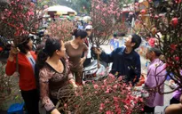 Gộp Tết tây với Tết cổ truyền: Sai lầm căn bản về hội nhập