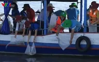 Nhiều địa phương thả cá tái tạo nguồn lợi thủy sản