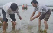 Bộ NN&PTNT làm việc với một số cơ sở thủy sản tại Phú Yên