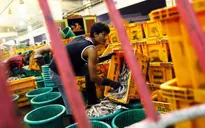 Thái Lan và vấn đề lao động nhập cư