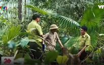 Thanh Hóa truy quét lâm tặc phá rừng