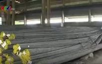 Kiểm soát, quản lý thép cuộn nhập khẩu