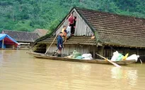 Năm 2016, tổng thiệt hại do thiên tai khoảng gần 40.000 tỷ đồng