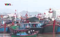 Lắp đặt thiết bị nhận dạng tàu cá, giúp ngư dân yên tâm trên biển