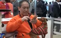 Hiểu cảm xúc của vật nuôi bằng… áo khoác