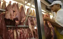 Tạm ngừng nhập thịt từ Brazil