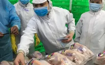 TP.HCM sẽ truy xuất nguồn gốc thịt gia cầm từ 3/10