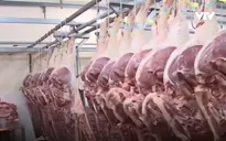 Kiên quyết xử lý vi phạm về chất lượng thịt lợn