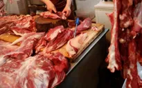 Ấn Độ: Tiểu thương kinh doanh thịt bò biểu tình phản đối lệnh cấm giết mổ gia súc