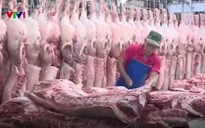 Nhiều giải pháp đẩy mạnh tiêu thụ thịt lợn hỗ trợ người chăn nuôi