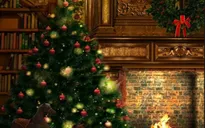 Sẽ thiếu hụt cây thông Noel trong mùa lễ Giáng sinh