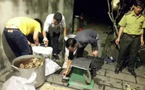 Đồng Nai: Tạm giữ hình sự chủ cơ sở nấu cao hổ