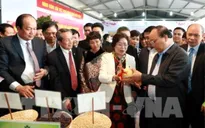 Thủ tướng khởi động sản xuất nông nghiệp công nghệ cao