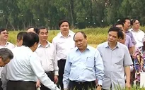 Thủ tướng làm việc với doanh nghiệp đi đầu trong việc sản xuất lúa gạo ở ĐBSCL