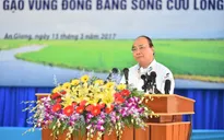 Thủ tướng: "Giờ G" cho đổi mới ngành lúa gạo đã điểm