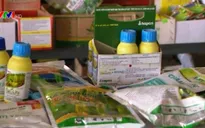 Sẽ kiểm tra đột xuất trong lĩnh vực nông nghiệp