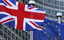 Nhiều doanh nghiệp Anh phải khai báo thuế hải quan lần đầu vì Brexit