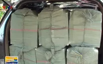 Thu giữ 12.000 gói thuốc lá ngoại nhập lậu tại Long An