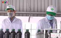 50% thuốc bảo vệ thực vật ở Việt Nam không rõ nguồn gốc
