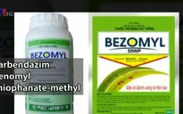 3 hoạt chất thuốc bảo vệ thực vật bị cấm sử dụng