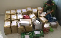 Ninh Thuận bắt 5 đối tượng mua bán thuốc nổ trái phép