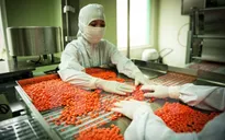 Thành lập Trung tâm mua sắm tập trung thuốc quốc gia
