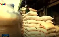 Ngoài gạo, Trung Quốc sẽ tiếp nhận thêm các sản phẩm công nghệ sinh học Mỹ