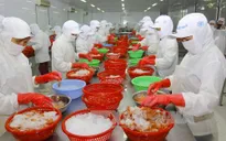 Xuất khẩu thủy sản 5 tháng đầu năm ước đạt 2,8 tỷ USD