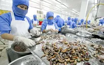 Đề nghị cấp chứng thư bắt buộc thủy sản xuất khẩu Trung Quốc