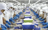 EU warns yellow card risk for Vietnamese seafood