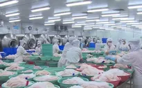 Doanh nghiệp thủy sản ứng phó trước các rào cản