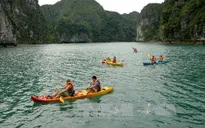 Hạ Long đình chỉ các đơn vị kinh doanh dịch vụ chèo thuyền kayak sai quy định
