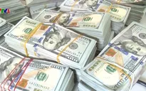 Thu giữ gần 1 triệu USD vận chuyển trái phép qua biên giới